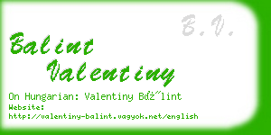 balint valentiny business card